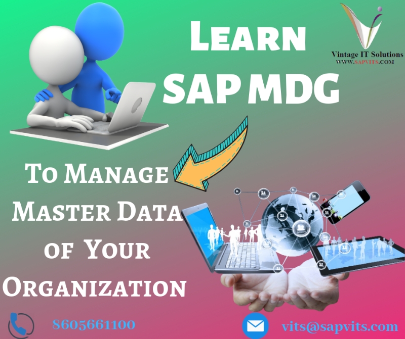 Sap MDG Online Training by Experts | MDG Training